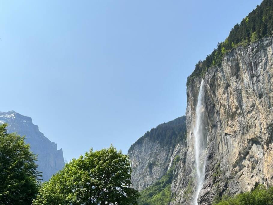 Chalet Maithili Lauterbrunnen -152-Year-Old Majestic Chalet ภายนอก รูปภาพ